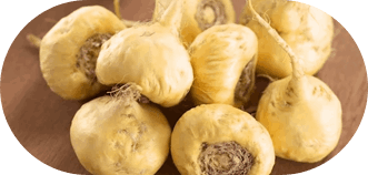 Alpha Tonic- Panax Ginseng
